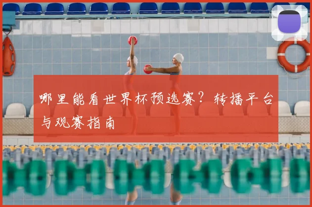 哪里能看世界杯预选赛?转播平台与观赛指南